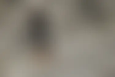 Más de 170 corredores participaron del Desafío a la Quebrada de Astica en Valle Fértil