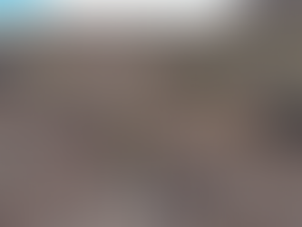 Orestone amplÃa su proyecto de oro y plata Francisca en Salta