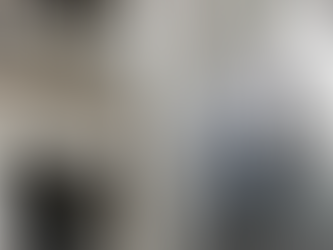 El Gobierno de Milei volvió a comprarle dólares al Banco Central antes de un vencimiento clave con el FMI