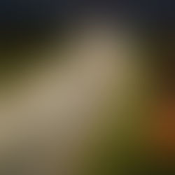 San Juan avanza para vender energía solar excedente de la Circunvalación a empresas internacionales