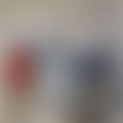Así celebraron los trabajadores de Vicuña la clasificación de Argentina a la final del Mundial 2026