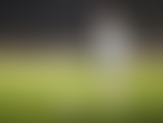 La Selección Argentina define el equipo para enfrentar a Venezuela con Messi como líder