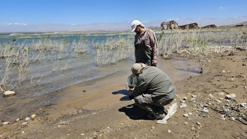 Revelaron la causa de muerte de peces en el Dique Cuesta del Viento