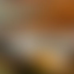 El bloquismo impulsa el RECO para reformar el sistema electoral en San Juan