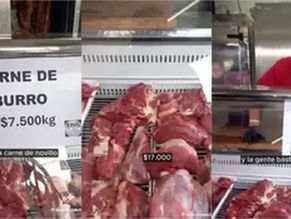 Carne de burro en el mercado: un productor defendió la iniciativa y negó que sea por la crisis