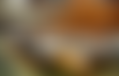 El Gobierno presenta el Presupuesto 2026 con foco en el equilibrio fiscal y la inversión social