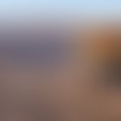 Presentan proyecto de ley para impulsar 80% de empleo local y 70% de proveedores sanjuaninos en minería