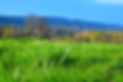 DSC_0646_edited.jpg