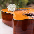 guitar-outdoors-with-flower-top.jpg