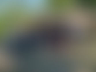 VISITES DE L'OFFICE DE TOURISME