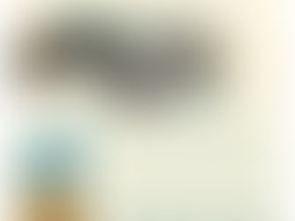 CONFÉRENCE ALIMENTATION DURABLE