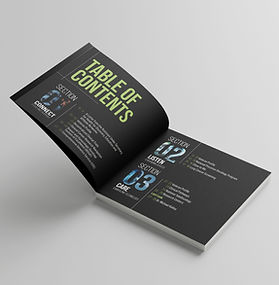 An annual 40+ page report synthesizing the progress made by every department in the National Oncology program and their impact on real Veteran and their families. Two versions included. 