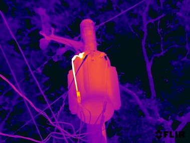 FLIR0808.jpg