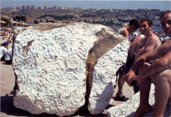 Turkey, 2002