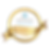 Badges_Certified Professional Coach.png