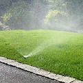 irrigation