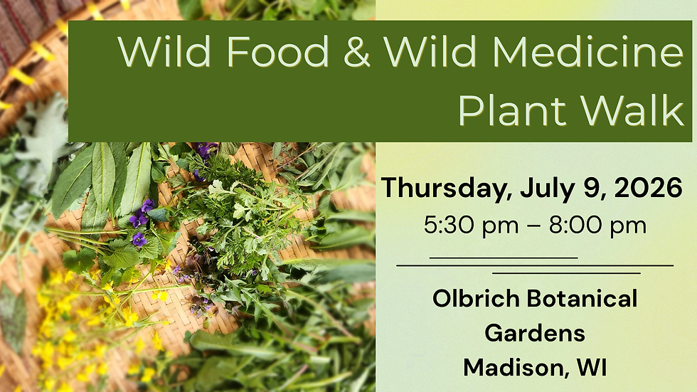 Wild Food, Medicine Plant Walk