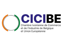CICIBE_edited.png