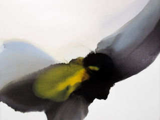 Virtual Composition & Negative Space