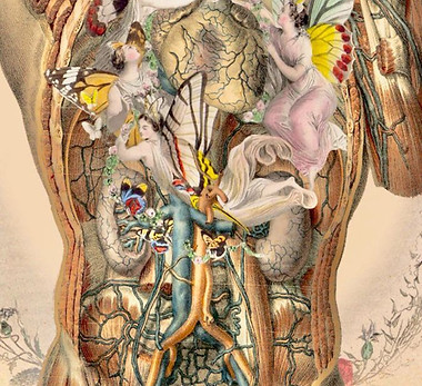 Medical art _ Anatomy art, Human anatomy art, Medical art.jpeg
