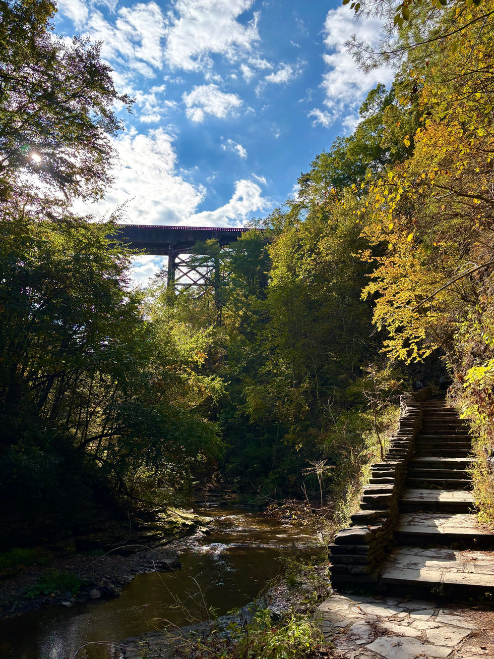 Watkins Glen, New York