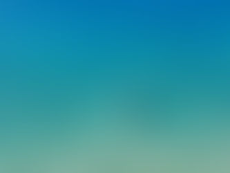 Top 5 des spots de snorkeling et plongée à St Barth