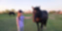 girl petting black horse in green field