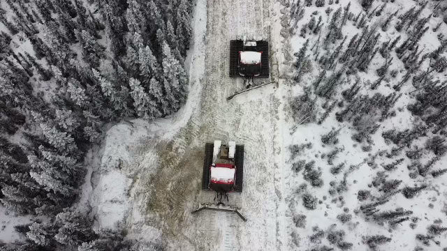 Snow Cats Opening Line