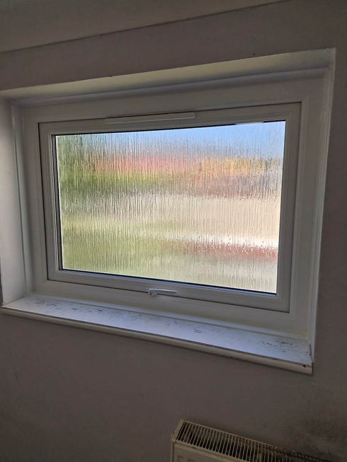 Outdoor landscape through a white-framed window