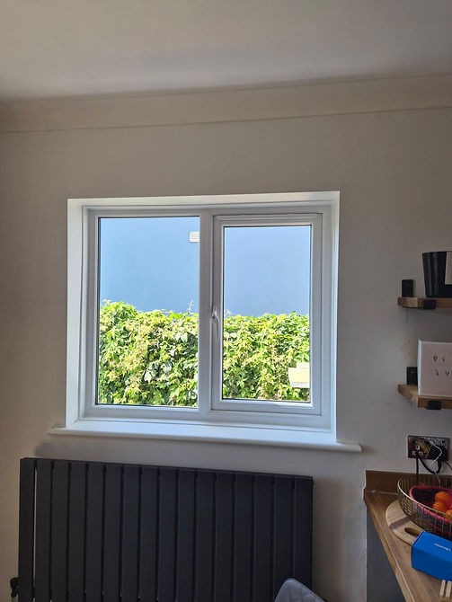 White window frame looking out onto green foliage and a blue sky