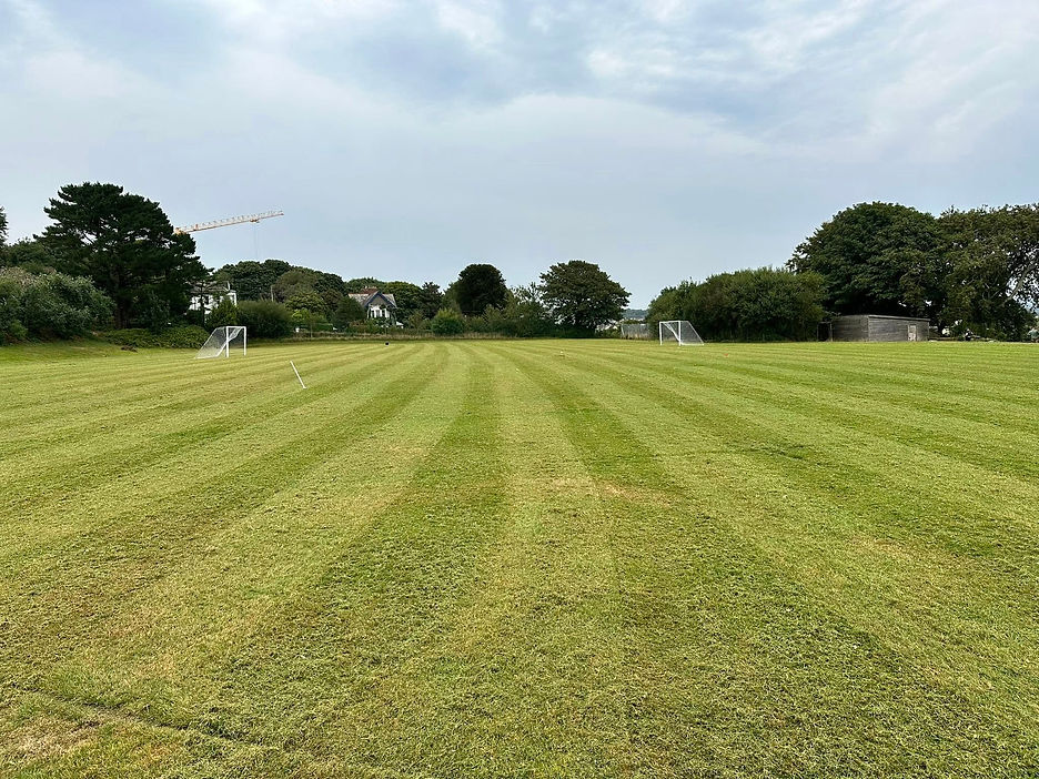Perfectly mown football pitch and large green space under a blue sky