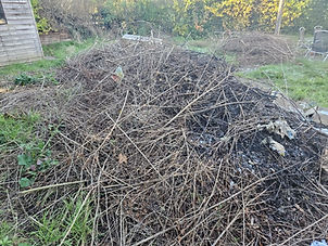 A large, dense pile of brown garden waste, including dry branches and twigs