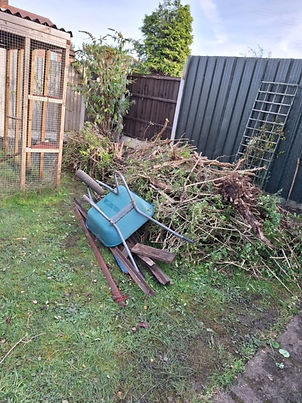 A large pile of garden waste and tree roots next to an upturned wheelbarrow in a back garden
