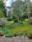 A wild garden with a small greenhouse