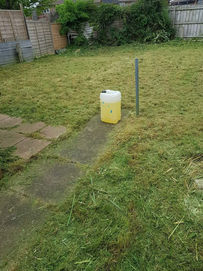 Finished lawn area with neat border edges