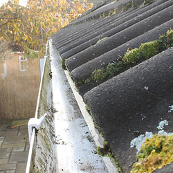 A dirty gutter and roof tiles heavily covered with moss and lichen on a house