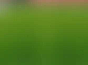 What is Regional Interdependence and How Does It Affect Injuries?