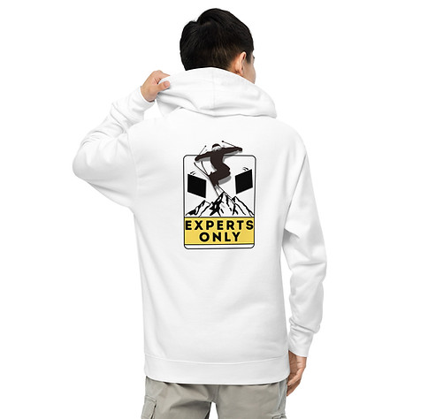 Expert Skier Hoodie Back.jpg