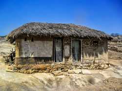 small rural house for two families