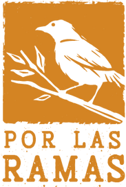 Sin título-1_Mesa de trabajo 1.png