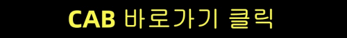 cab 안전.gif