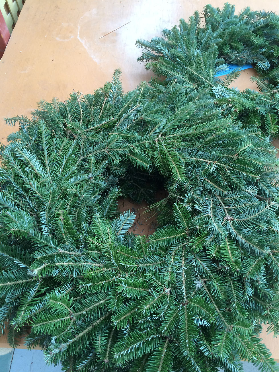 Balsam Wreaths