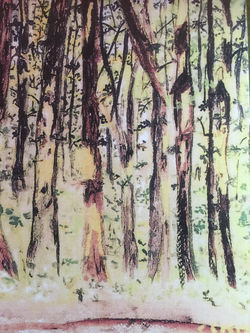 Wooded Forrest