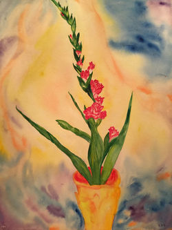 Gladiola