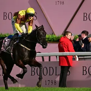 Cheltenham Gold Cup