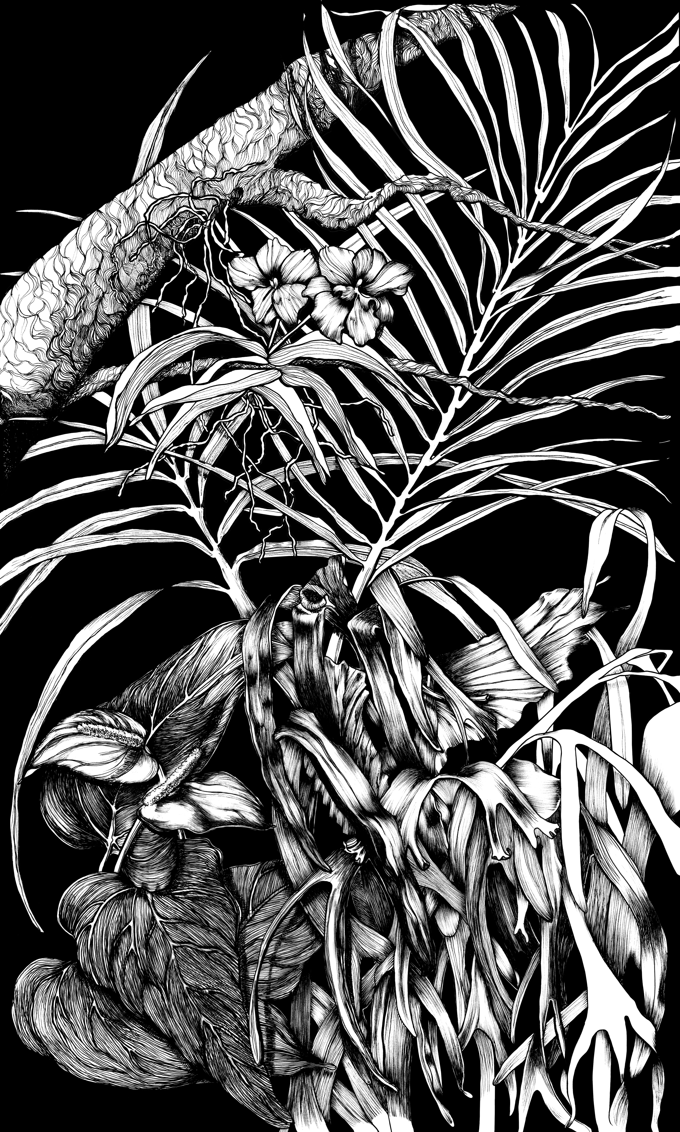 Tropical-Plant-Scene-Merge_black.gif