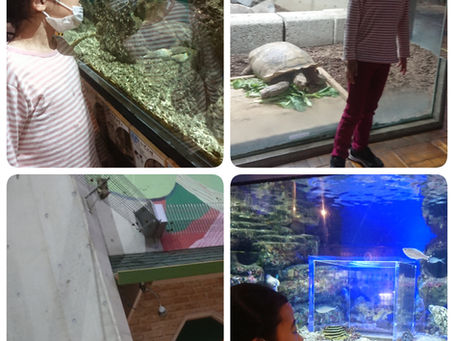 足立生物園