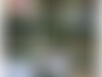 秋