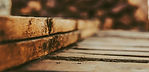 Holz