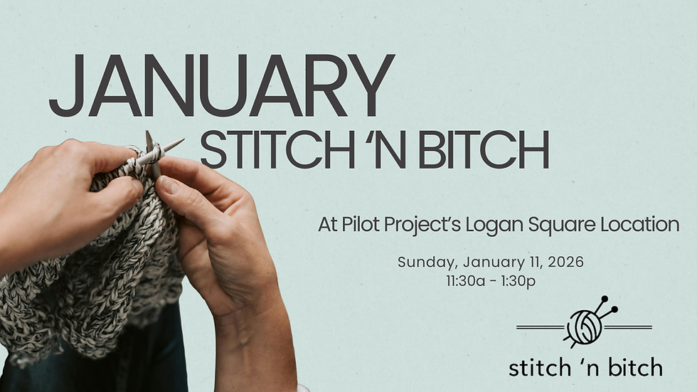 January Logan Square Stitch 'n Bitch 